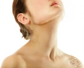 ��� �� ������ � ���������� ��������� �����?