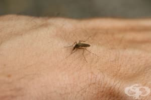 ��� �� ������������ �������� �� �����