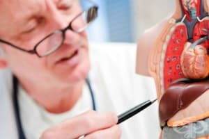 ������������ ���������� ������ ����