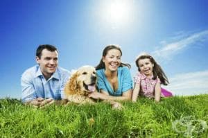 ��������� ���� - ������ �� ������