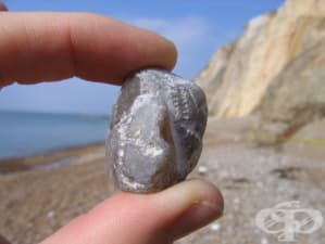 ������� � ��������� ���� � ����� �� ��������