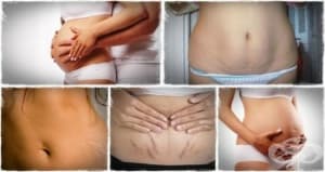 �������� �� ��������������� � ���������� �� ����� �������� � ������������