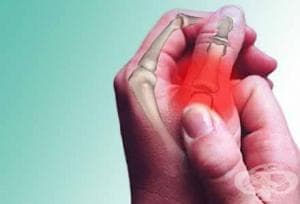 ���� � ������� ������� �� ������� �����