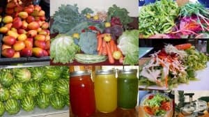 ���������� � ������������ ���� ������������