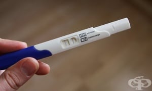 ������������ �� ���������� � ������� ��������