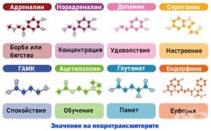 Невротрансмитерни системи в ЦНС