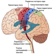 ��������� ������� �������