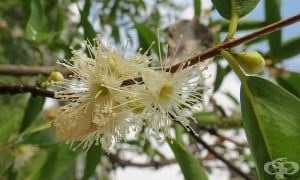 ���� ����