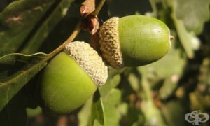 ����� ���, ������ ���, �����