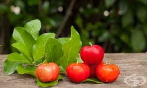 �������, ����������� �����, ���������� �����, �������������� ������