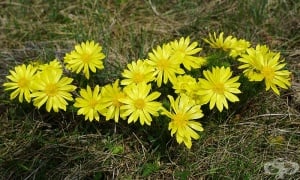 ��������, ���� �����, ����� ���, �������� ���, ����� ����, ��������