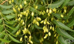 �����, ����, �������� �����, ����� ����������, ����� ����