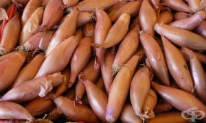 �����, ��� �����