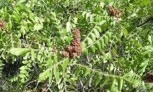 ������� ����, �����, ���������� ���������