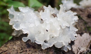 �������� ������