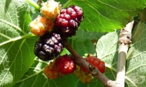 �������