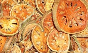 ��������� ����, ���� ��������, ����, ������� ������, ����