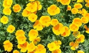 ������������� ���