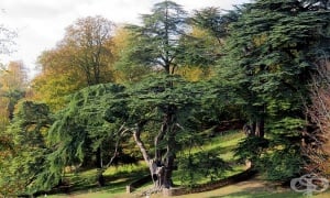 �������� �����