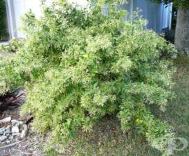 ����� ������, ����� �����, ������� �� �����