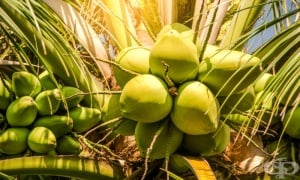 �������� �����