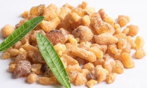 ��������, �������� �����, �������� �����