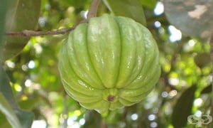 �������� ��������, �������� ������