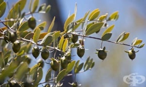 ������, ������, �������� ������