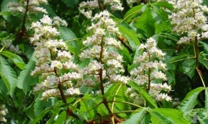 ��� ������, ��� ������ ������, ������ ������, �������� ������