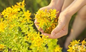 ���� ���������, �������, ���������, ������ ���,  ������