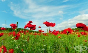 ���-������