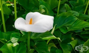 �����, ����, ��������, ������ �����