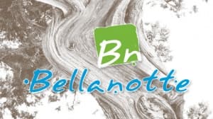 ��������� ������� � ���� �� ���������