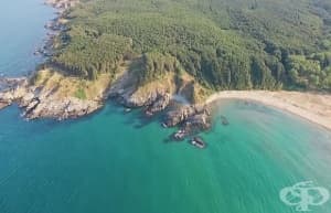 Черно море се обагри в тюркоазено синьо