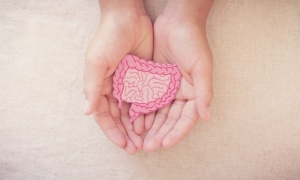 ������������� �� ������� ������ ���� �� ������ ����������� ����