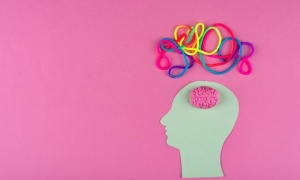 ���� ���� ����� ������ ���������������� ��� ����������