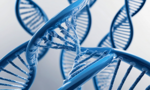 ������ ������� ��� ���� �� ����� ������� ���� �� ������� ������� ��������