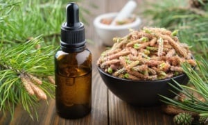 �������� ����� �� ��� � ����� � ��������� ������