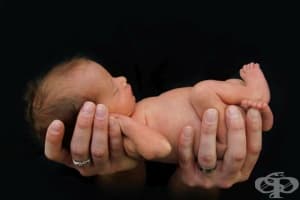 Родените преждевременно мислят различно, когато станат възрастни
