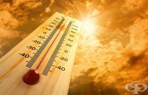 Смъртоносни жеги предстоят следващите 80 години