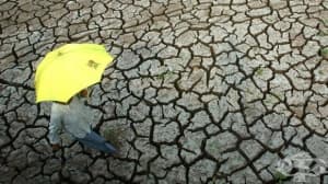 Температурните аномалии на планетата ще продължат до 2022 г.