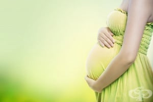 Трансплантация на матка и сурогатно майчинство – предимства и недостатъци