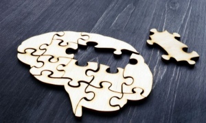 ��� ���������� ������������ ���� �� ������ ����� �� ��������