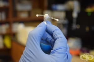 Учени разработиха вагинален имплант срещу СПИН