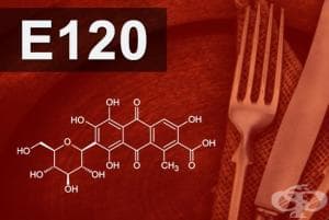 E120 - Кохинил, Карминова киселина (Cochineal, Carminic acid, Carmines)