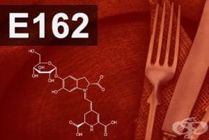 E162 - Бетанин (Beetroot Red, Betanin)