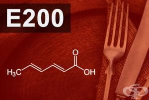 E200 - Сорбинова киселина (Sorbic acid)