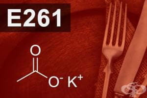 E261 - Калиев ацетат (Potassium acetate)