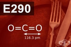 E290 - Въглероден диоксид (Carbon dioxide)