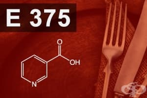 E375 - Ниацин (Niacin)